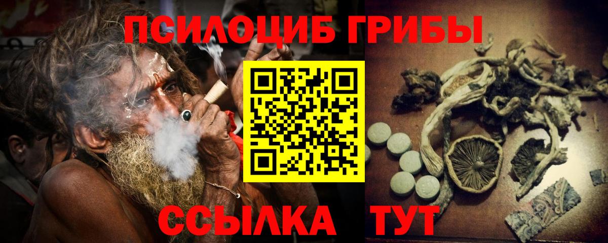 Галлюциногенные грибы мухоморы  Вход с VPN  Галлюциногенные грибы Psilocybe  Михайловск 